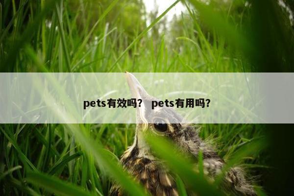 pets有效吗？ pets有用吗？