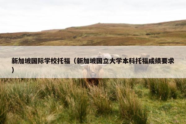 新加坡国际学校托福（新加坡国立大学本科托福成绩要求）