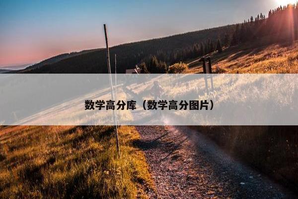 数学高分库（数学高分图片）