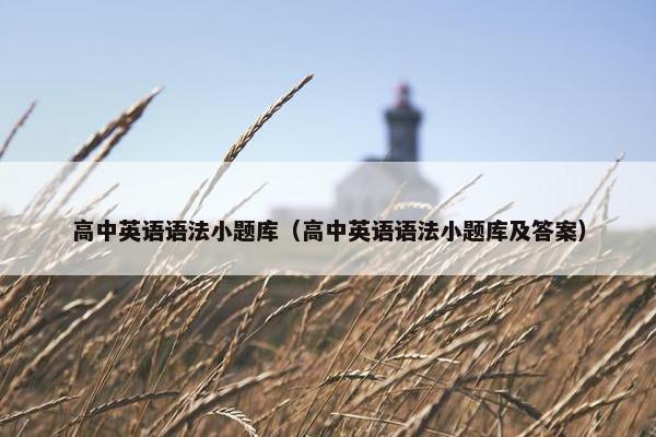 高中英语语法小题库（高中英语语法小题库及答案）