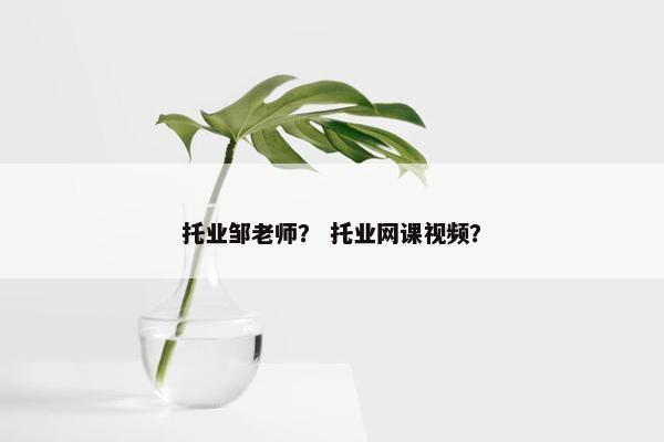 托业邹老师？ 托业网课视频？