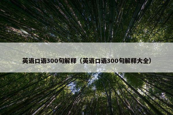 英语口语300句解释（英语口语300句解释大全）