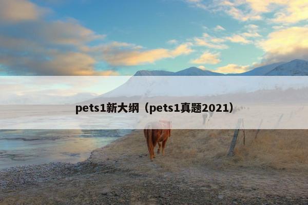 pets1新大纲（pets1真题2021）