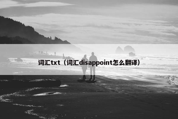 词汇txt（词汇disappoint怎么翻译）