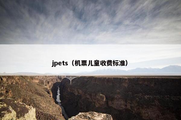 jpets（机票儿童收费标准）