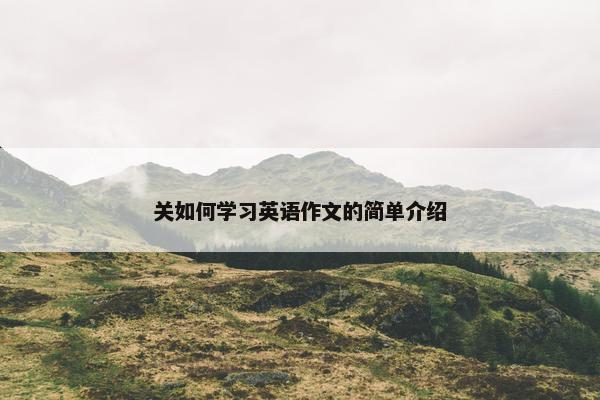 关如何学习英语作文的简单介绍