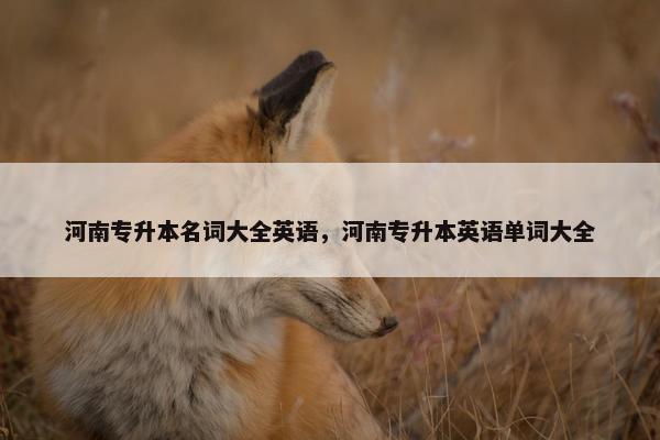 河南专升本名词大全英语，河南专升本英语单词大全