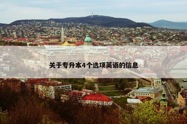 关于专升本4个选项英语的信息