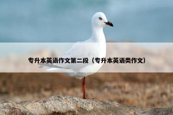 专升本英语作文第二段（专升本英语类作文）