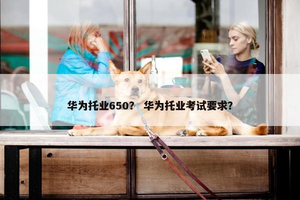华为托业650？ 华为托业考试要求？