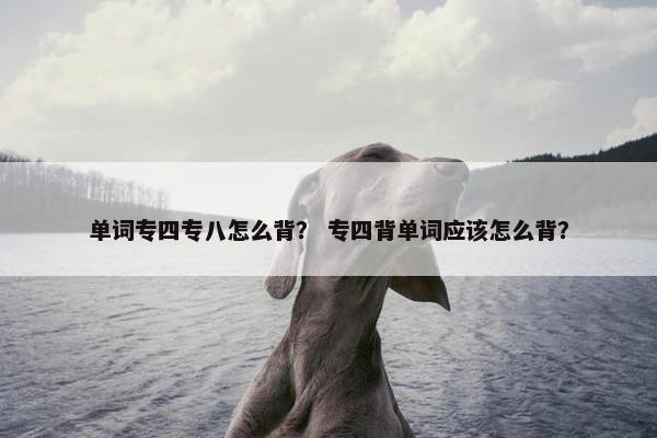 单词专四专八怎么背？ 专四背单词应该怎么背？