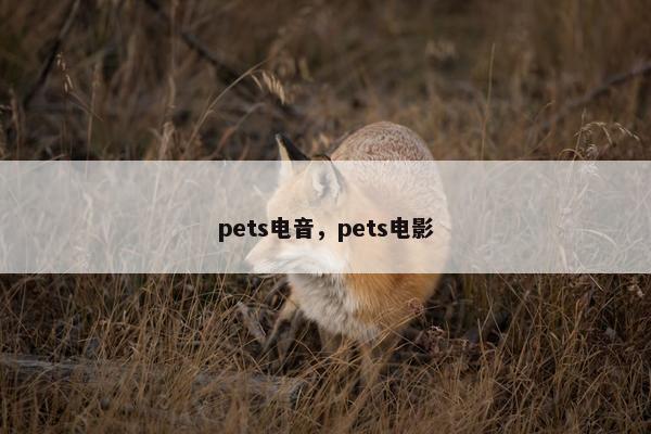 pets电音，pets电影