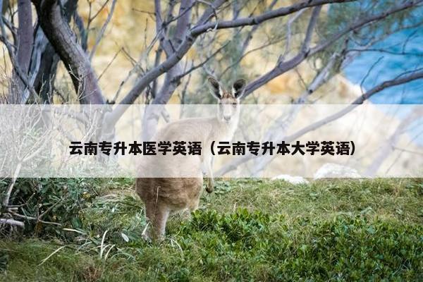 云南专升本医学英语（云南专升本大学英语）
