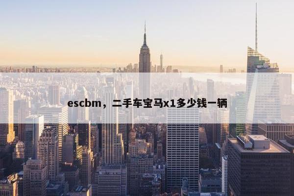escbm，二手车宝马x1多少钱一辆