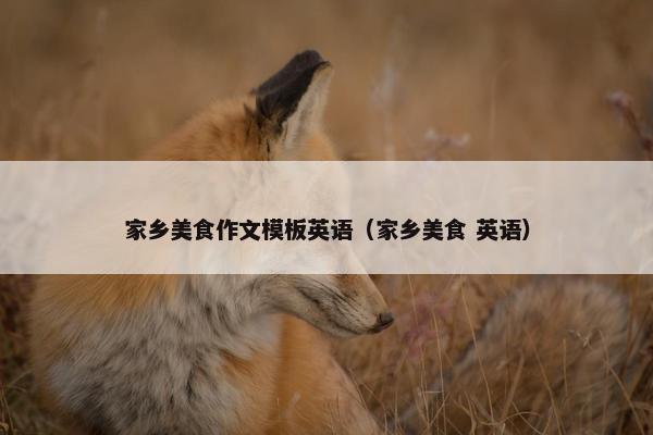 家乡美食作文模板英语（家乡美食 英语）