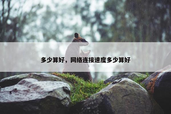 多少算好，网络连接速度多少算好