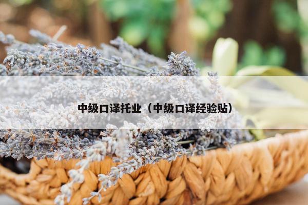 中级口译托业（中级口译经验贴）