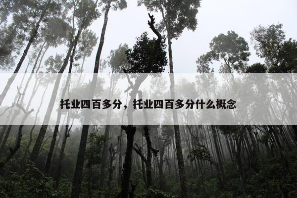 托业四百多分，托业四百多分什么概念
