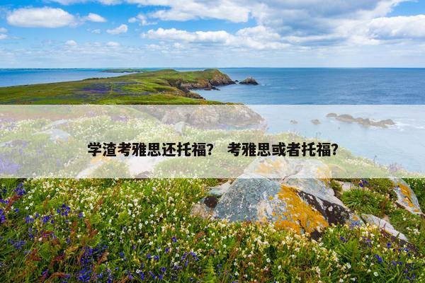 学渣考雅思还托福？ 考雅思或者托福？