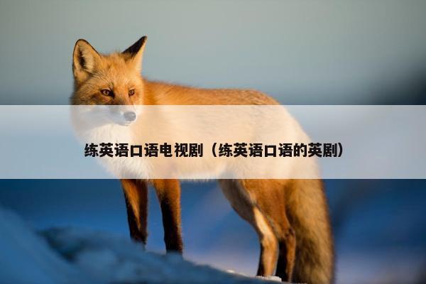 练英语口语电视剧（练英语口语的英剧）