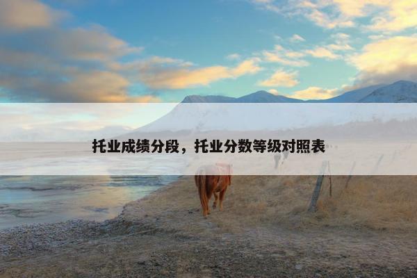 托业成绩分段，托业分数等级对照表
