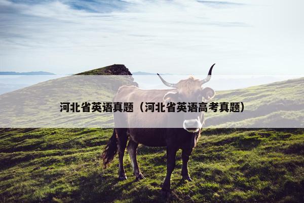 河北省英语真题（河北省英语高考真题）