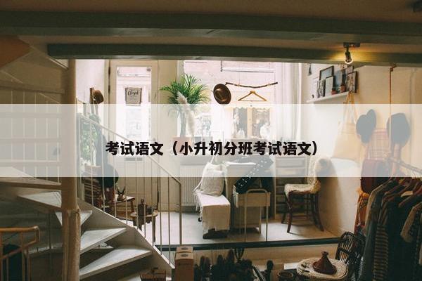 考试语文（小升初分班考试语文）