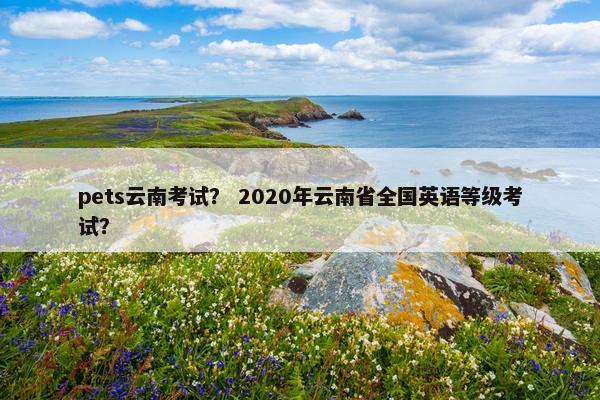 pets云南考试？ 2020年云南省全国英语等级考试？