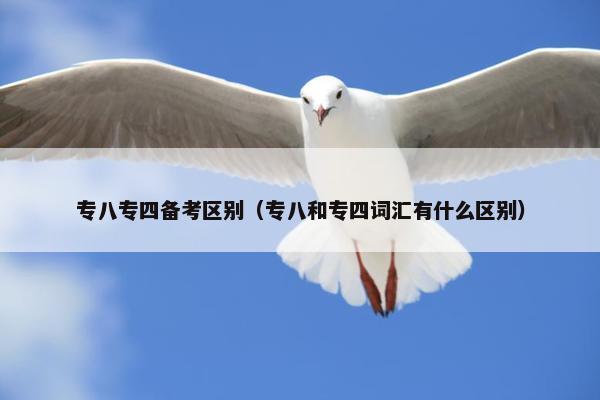 专八专四备考区别（专八和专四词汇有什么区别）