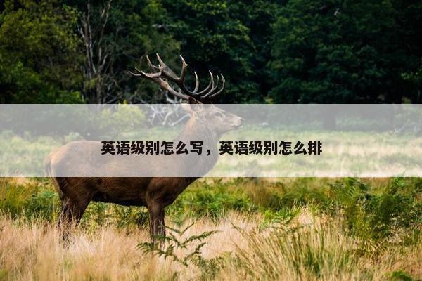英语级别怎么写，英语级别怎么排