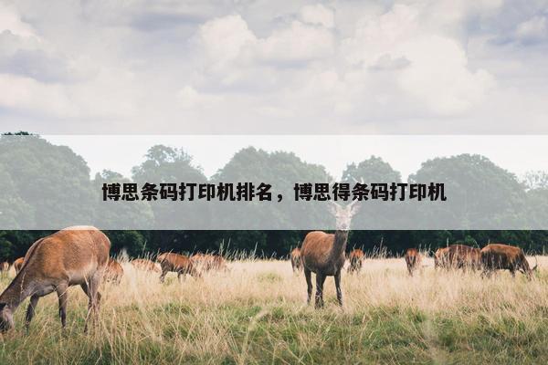 博思条码打印机排名，博思得条码打印机