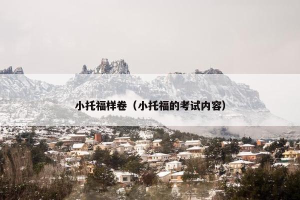 小托福样卷（小托福的考试内容）
