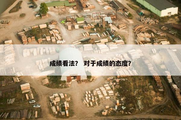 成绩看法？ 对于成绩的态度？