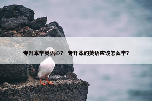专升本学英语心？ 专升本的英语应该怎么学？