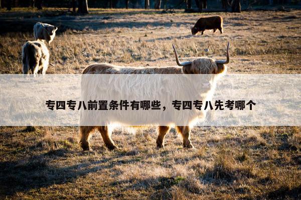 专四专八前置条件有哪些，专四专八先考哪个