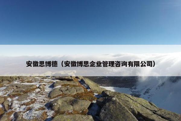 安徽思博德（安徽博思企业管理咨询有限公司）