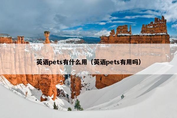英语pets有什么用（英语pets有用吗）