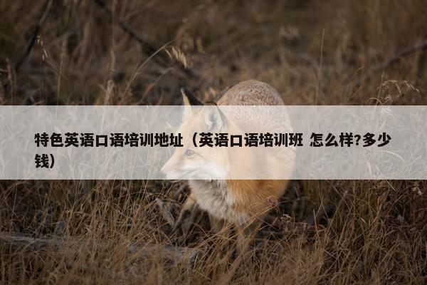 特色英语口语培训地址（英语口语培训班 怎么样?多少钱）