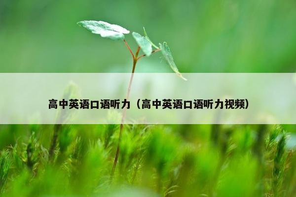 高中英语口语听力（高中英语口语听力视频）