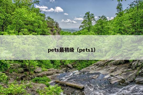 pets最初级（pets1）