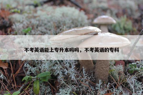 不考英语能上专升本吗吗，不考英语的专科