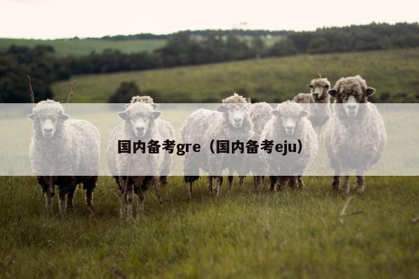 国内备考gre（国内备考eju）