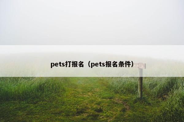 pets打报名（pets报名条件）