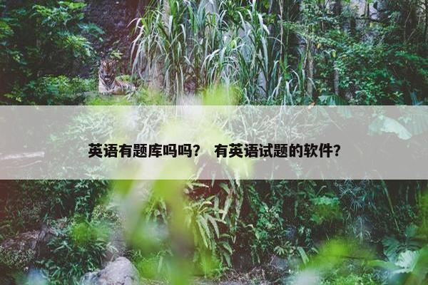 英语有题库吗吗？ 有英语试题的软件？
