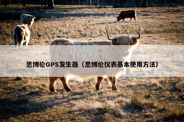 思博伦GPS发生器（思博伦仪表基本使用方法）