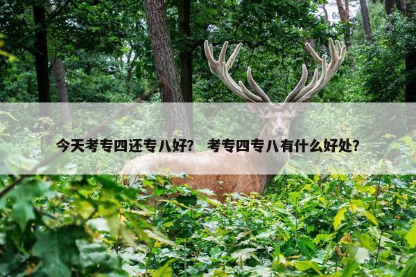 今天考专四还专八好？ 考专四专八有什么好处？