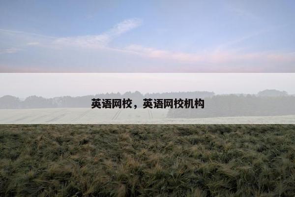 英语网校，英语网校机构