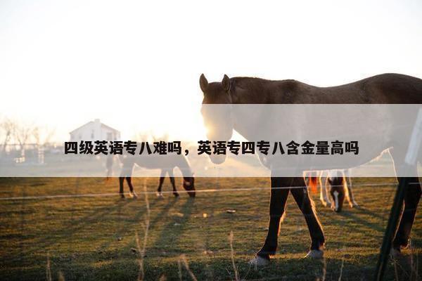 四级英语专八难吗，英语专四专八含金量高吗