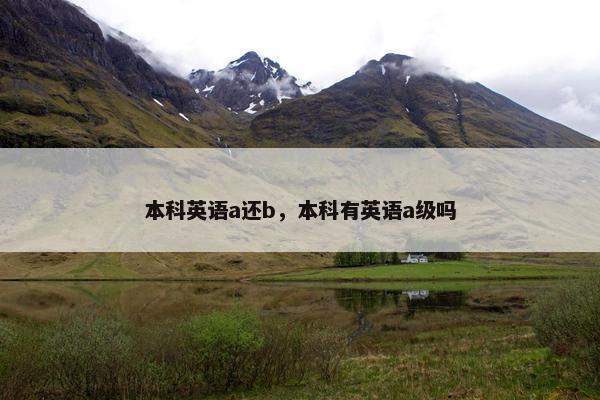 本科英语a还b，本科有英语a级吗