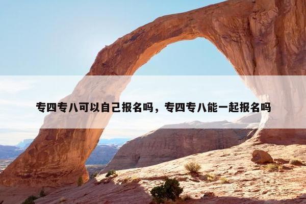 专四专八可以自己报名吗，专四专八能一起报名吗